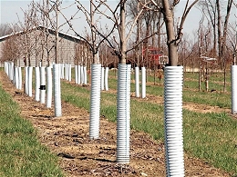 Plastic Tree Guard Tubes