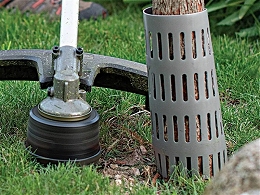 Tree Trunk Protectors